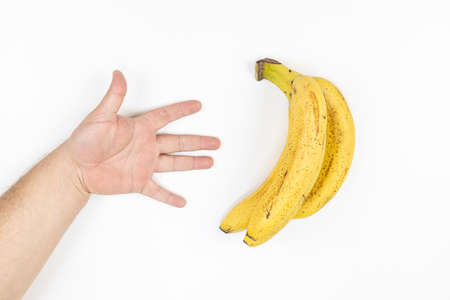 Fresh Banana and hand above white background with copy space.の写真素材