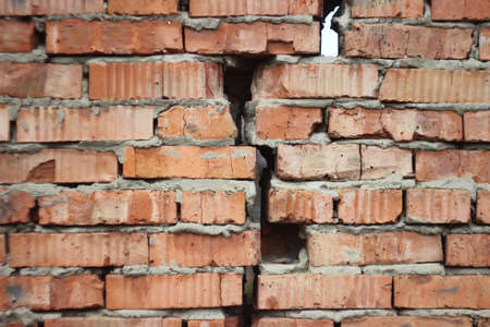 the background is a brick wall with a crack