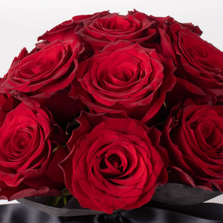 Bouquet of Roses taken in a beautiful light studioの写真素材