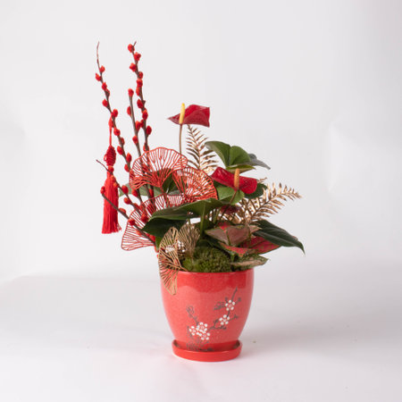 Bouquet of Roses taken in a beautiful light studioの写真素材