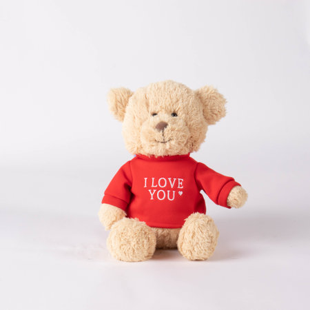 Bouquet of Roses taken in a beautiful light studioの写真素材