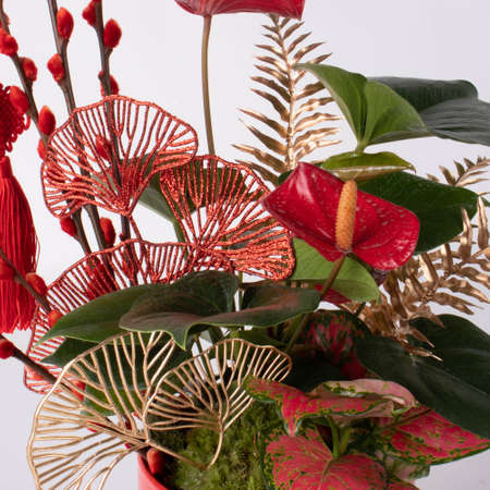 Bouquet of Roses taken in a beautiful light studioの写真素材