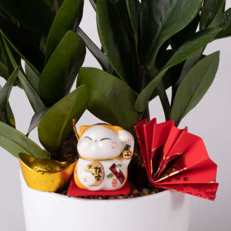 Bouquet of Roses taken in a beautiful light studioの写真素材