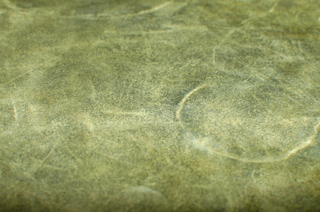 Abstract green leather texture, can be used as a background. alcantara.の写真素材