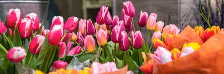 Buying flowers in the spring for the holiday. The cost of flowers, tulips. Tulips of different colors in a bucket for sale at a flower shop.の写真素材