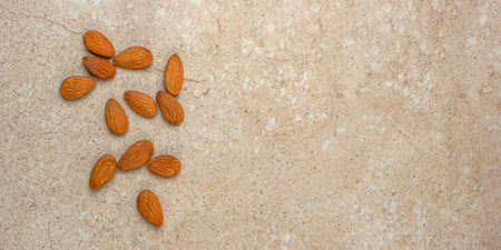 Peeled almonds. Nut background, banner, almonds in top view in a saucer and scattered around. Place to insert text or design.の写真素材