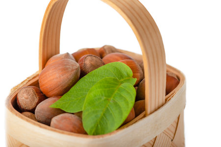 Hazelnut lies in a wooden basket on a white isolated background. Unpeeled hazelnuts in shell and green leavesの写真素材