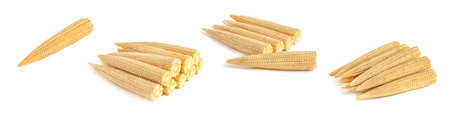 Corn set on a white background. Baby corn isolated on white homogeneous background, clipping path, full depth of field.の写真素材