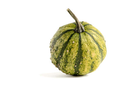 Decorative pumpkin of green color isolate on a white backgroundの写真素材