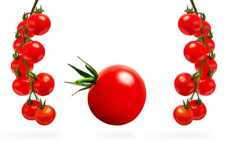 Cherry tomatoes isolate on white, set of different tomatoes on a branch on a white background.For label or bannerの写真素材