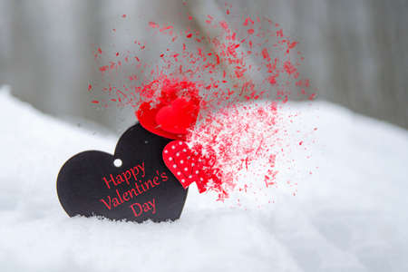 Happy Valentines Day greeting card or banner. Red hearts on a branch of a snow-covered tree in...