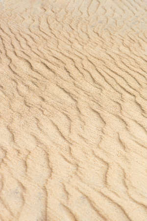 Desert sand dunes texture. Waves on the yellow sands of the desert. Close-up of a sandy beach.の写真素材
