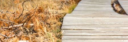 Wooden path in the mountains. Wooden flooring. Winding tourist path made of boards in the mountains. Adults and children walk in the mountains along the tourist routeの写真素材