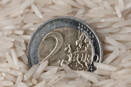 The price of rice, rising prices for agricultural crops. Food shortage, global food crisis. Graph pointing up. Financial euro derivatives market.の写真素材