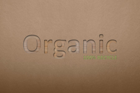 100 percent recycled, 3d. Organic fully processed food, ecology concept, earth day. Embedded text on cardboard backgroundの写真素材