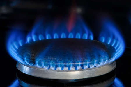 Combustion of natural gas, propane. Gas stove on a black background. Fragment of a gas kitchen stove...