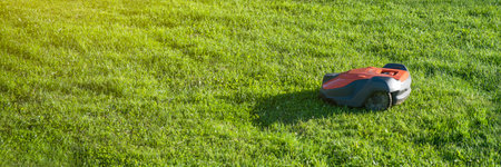 robotic lawnmower. A lawn mower mows the grass in a city park at sunset.の写真素材