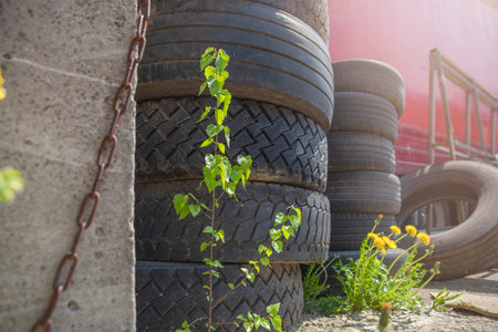 Ecological catastrophy. Environmental pollution. Old tires are thrown away, flowers grow nearby. The concept of pollution of nature.の写真素材