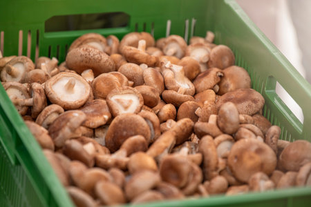 Fresh shiitake mushrooms at the farmers market. Mushrooms in a tray at an Asian market, close-upの写真素材