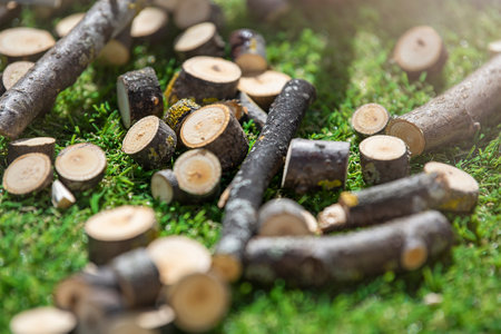 Branch pruning, branch saw on trees close-up with copy space. Pieces of branches on green grass as a concept of garden and tree care.の写真素材