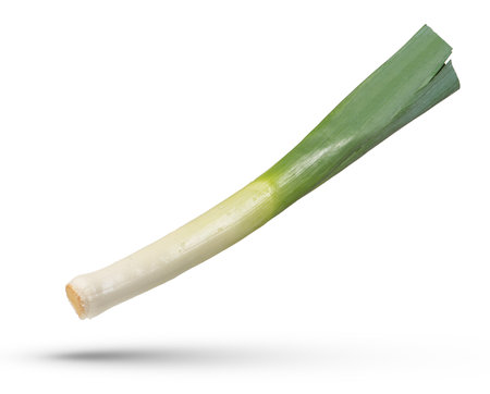 Full size leek. Leek isolated on white background. The concept of tasty and healthy food, replacing the usual onion.の写真素材