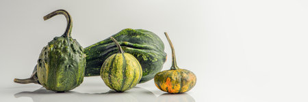 Set of decorative pumpkins on a white isolated background. multi-colored pumpkins of different sizes and from different sides cast a shadow close-up. Halloween holiday conceptの写真素材