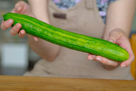 Womans hands hold a whole green cucumber close-up. Ripe cucumber is suitable for salads or as a side dish. Loving vegetables.の写真素材