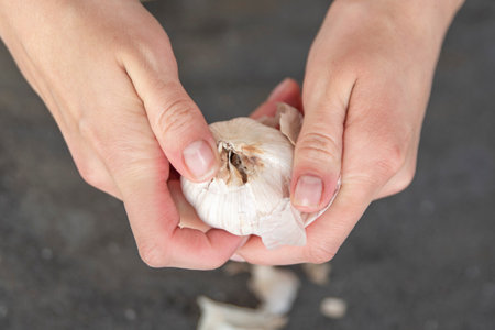 A woman cuts garlic with a knife close-up. Cutting garlic for salad or as an aromatic spice for meat.の写真素材