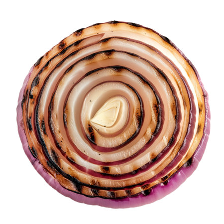 Grilled slice of fresh onion isolated on a white or transparent background. Close-up of fried onion, top view. Design element for grilled food theme.の素材