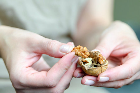 Close-up of a womans hands taking a walnut out of the shell. Snack on healthy nuts. Side view.の写真素材