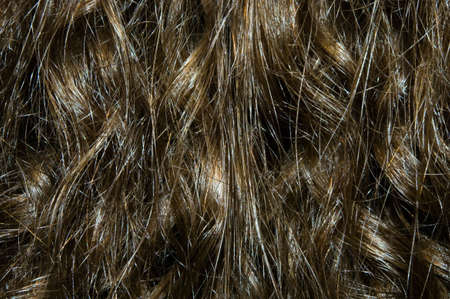Image of brown hair texture. Curly hair for shampoo advertising.の写真素材