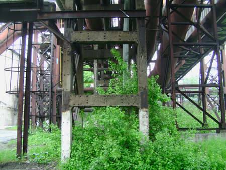 Green bush grow in factory area under heating main constructions