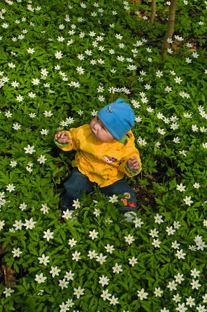 Child in the middle of primroseの写真素材