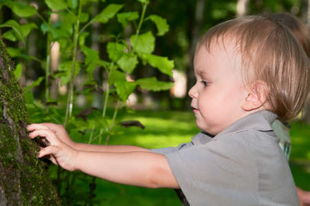 Little boy walking in park in sunny dayの写真素材