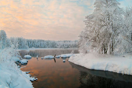 Unfrozen lake in the winter forests of Karelia, Russia. Black water and snowy brunchesの写真素材