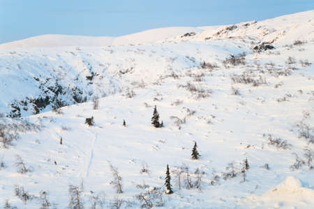 Wild slope in mountain in winter seasonの写真素材