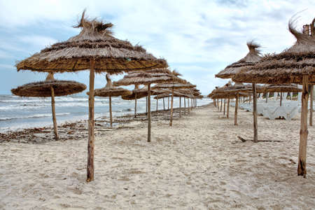 Palm leaf parasols on empty sandy beach during storm on seaの写真素材