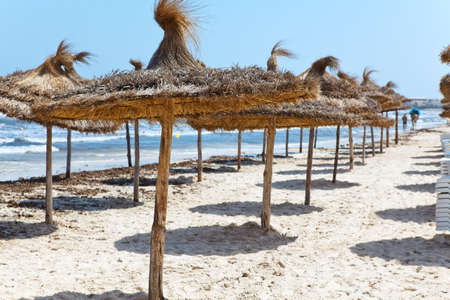 Palm leaf perasols on sandy beach  Nobodyの写真素材