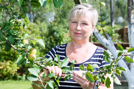 Mature adult woman standing near apple-tree with green apples brunch