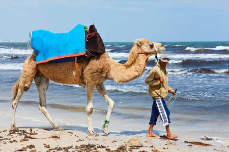 TUNIS, TUNISIA - CIRCA MAY, 2012: Man with beautiful camel animal on seacoast of Monastir, on circa May, 2012 in Tunis, Tunisia.のeditorial素材