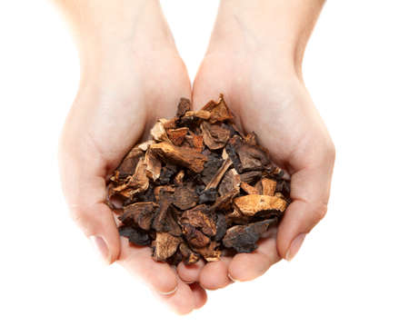 Caucasian hand with heap of dried mushrooms isolated on white background