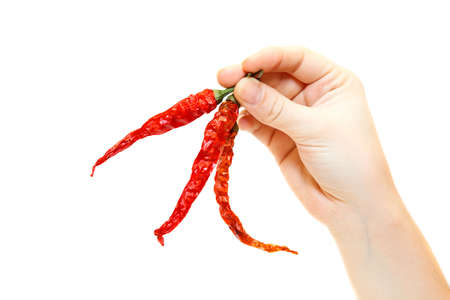 Caucasian hand with three red hot chilli peper isolated on white background