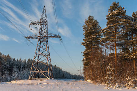 Power electric high-voltage poles in winter evergreen forestの写真素材