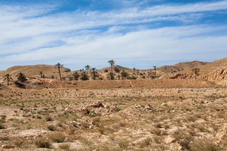 Mountain terrain in Africa with palm treesの写真素材