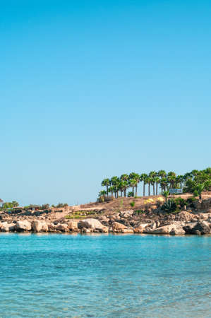 Mediterranean seashore in Cyprus island with rocky coastline and palm treesの写真素材