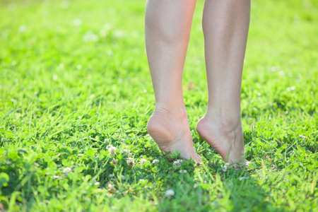 Female legs standing on tiptoe on green grass. Close up body partsの写真素材