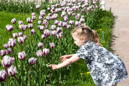 Pretty small girl holding growing tulips in summerの写真素材