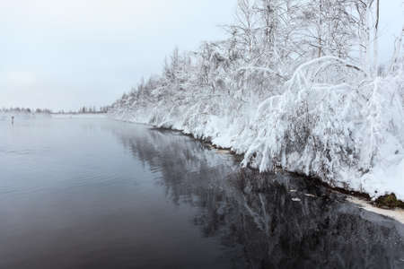 Winter landscape with the lake shore in frosty dayの写真素材