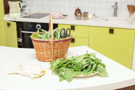 Nettle leaves for cooking vegetarian food on the tableの写真素材