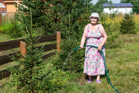 Elderly woman watering at country residenceの写真素材